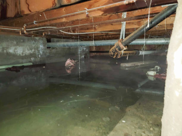 Best Water damage mitigation services  in Foster Brook, PA