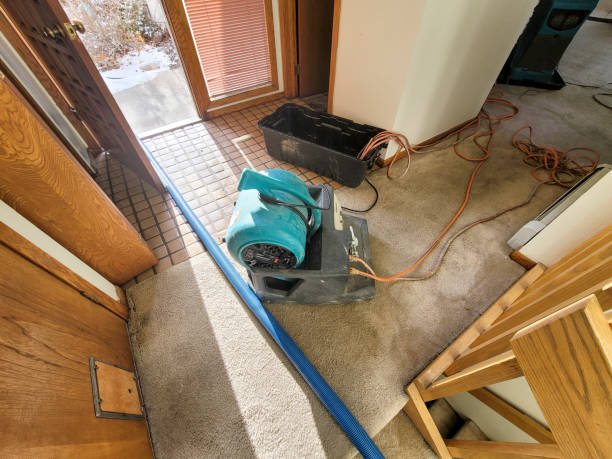 Best 24/7 water damage repair  in Foster Brook, PA
