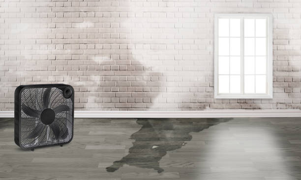  Foster Brook, PA Water damage restoration Pros