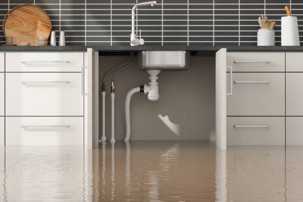 Best Fire Damage Restoration  in Foster Brook, PA