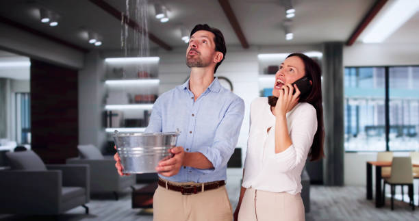Best Flooded house restoration  in Foster Brook, PA